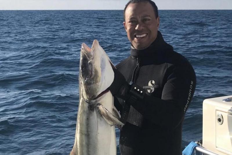Tiger woods spearfishing