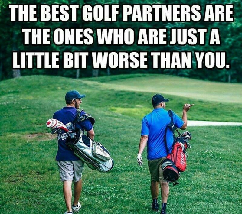 funny golf meme golf partner 