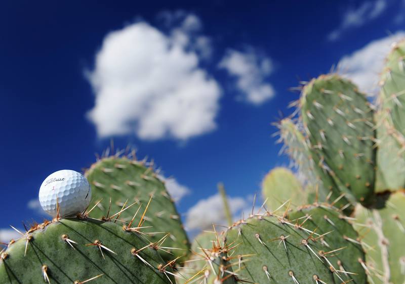 cactus golf 